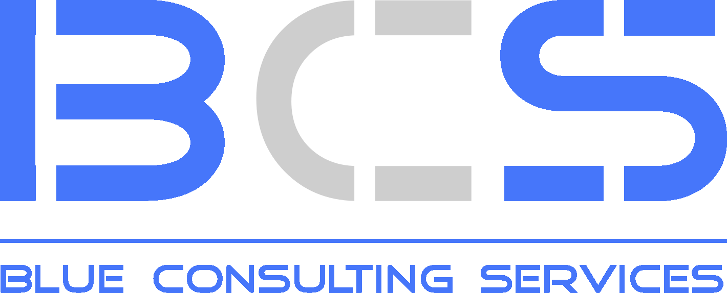 Blue Consulting Services